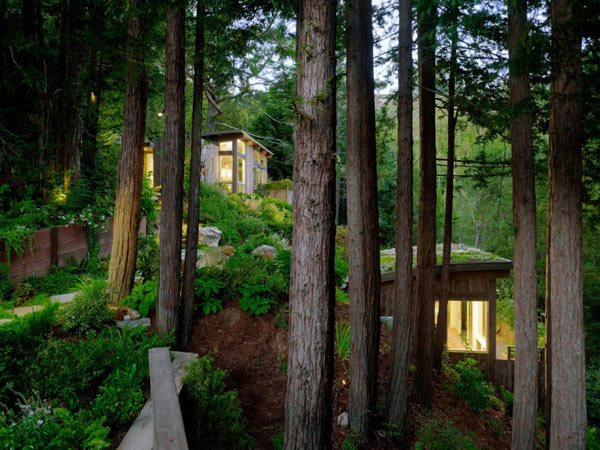 Лесной ландшафт,окружающий двухуровневый деревянный дом