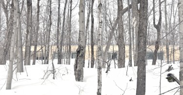 Проект лесного дома в Канаде
