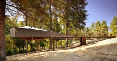 Деревянный дом Tree Snake Houses