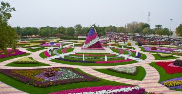 Цветочный парк Ai Ain Paradise Gardens