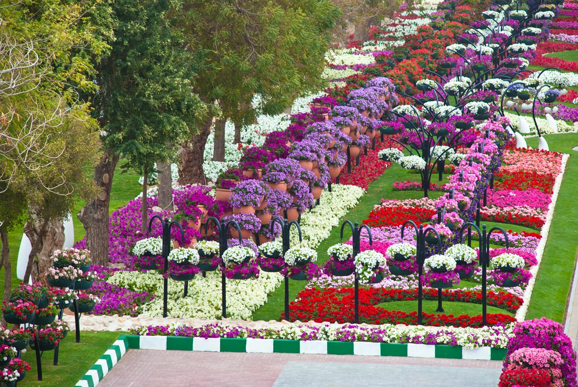 Цветочный парк Парадиз в ОАЭ
