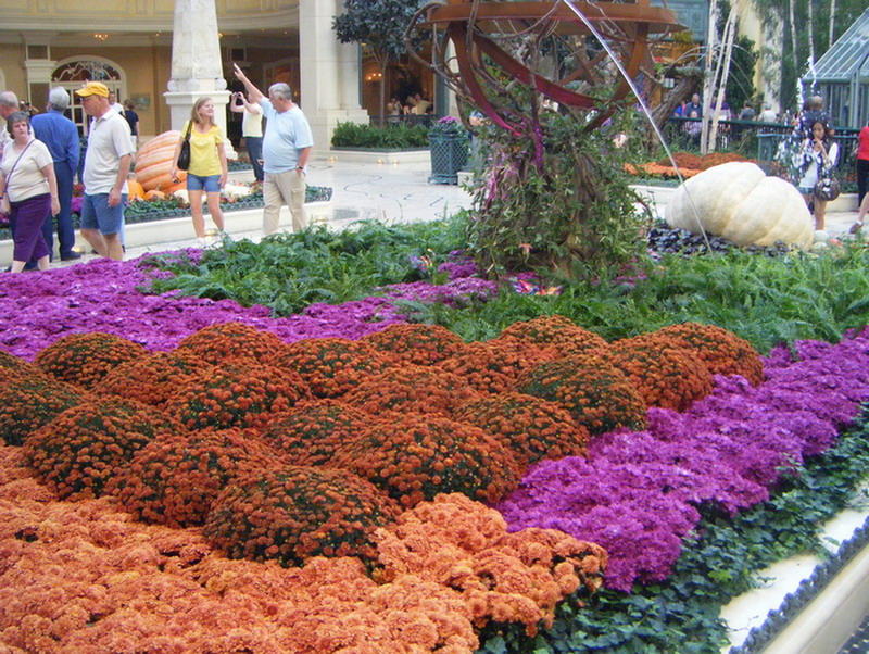 Сад в торговом комплексе Белладжо