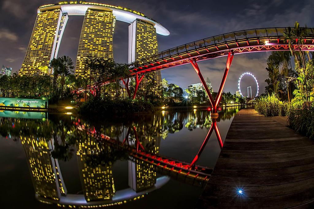 Фигурный мост с неоновой подсветкой