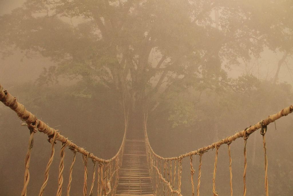 Деревянный мост в тумане