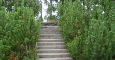 Лестница на садовом участке