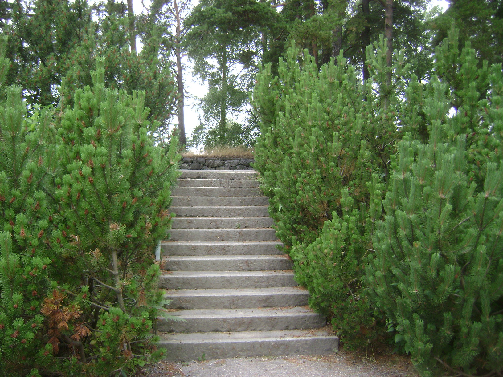 Садовая лестница из монолитного бетона