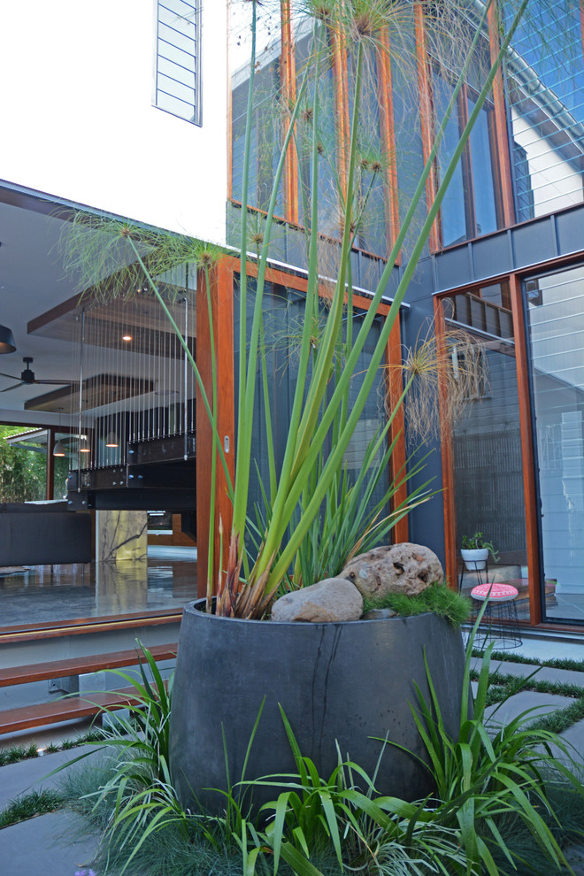 Дизайн интерьера современного коттеджа в Брисбене, Австралия: зелёный уголок