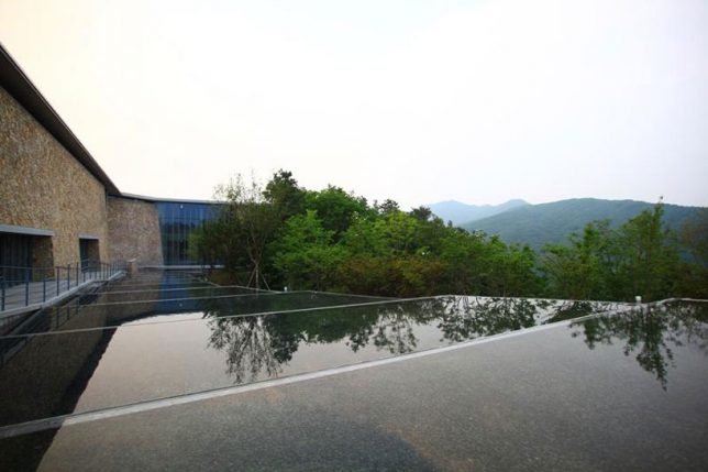 Дизайн искусственных водоёмов: лес окружает музей