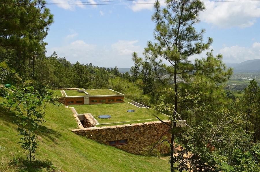 Трава на крыше эко-дома Green House в Доминикане