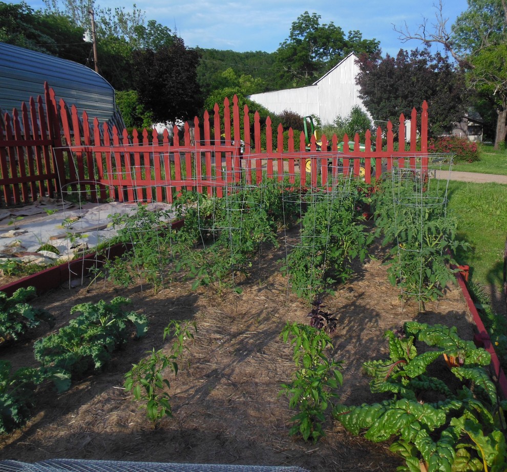Огород на заднем дворе