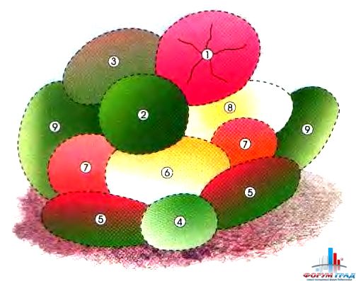 Круглые цветники с картинками с составом