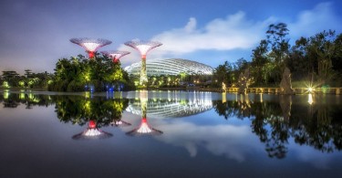 Проект Gardens by the Bay в Сингапуре