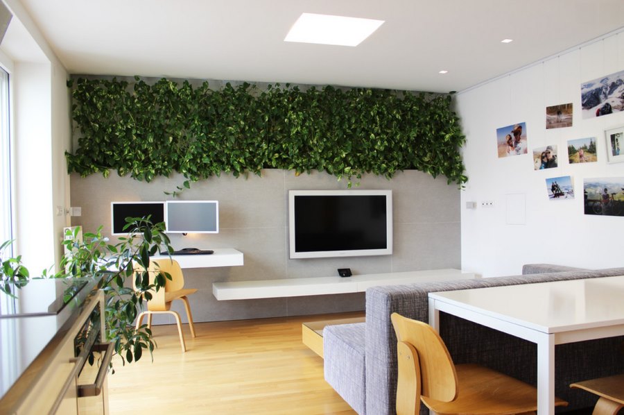 Современная гидропонная система для дома или сада: гостиная со стеной из растений