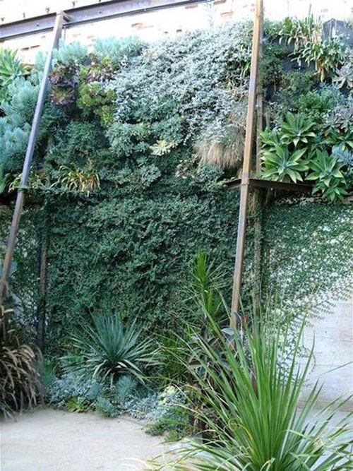 Интересные идеи вертикального озеленения: «живая» стена