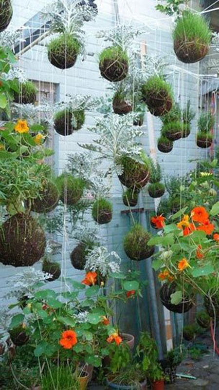 Интересные идеи вертикального озеленения: подвесной сад