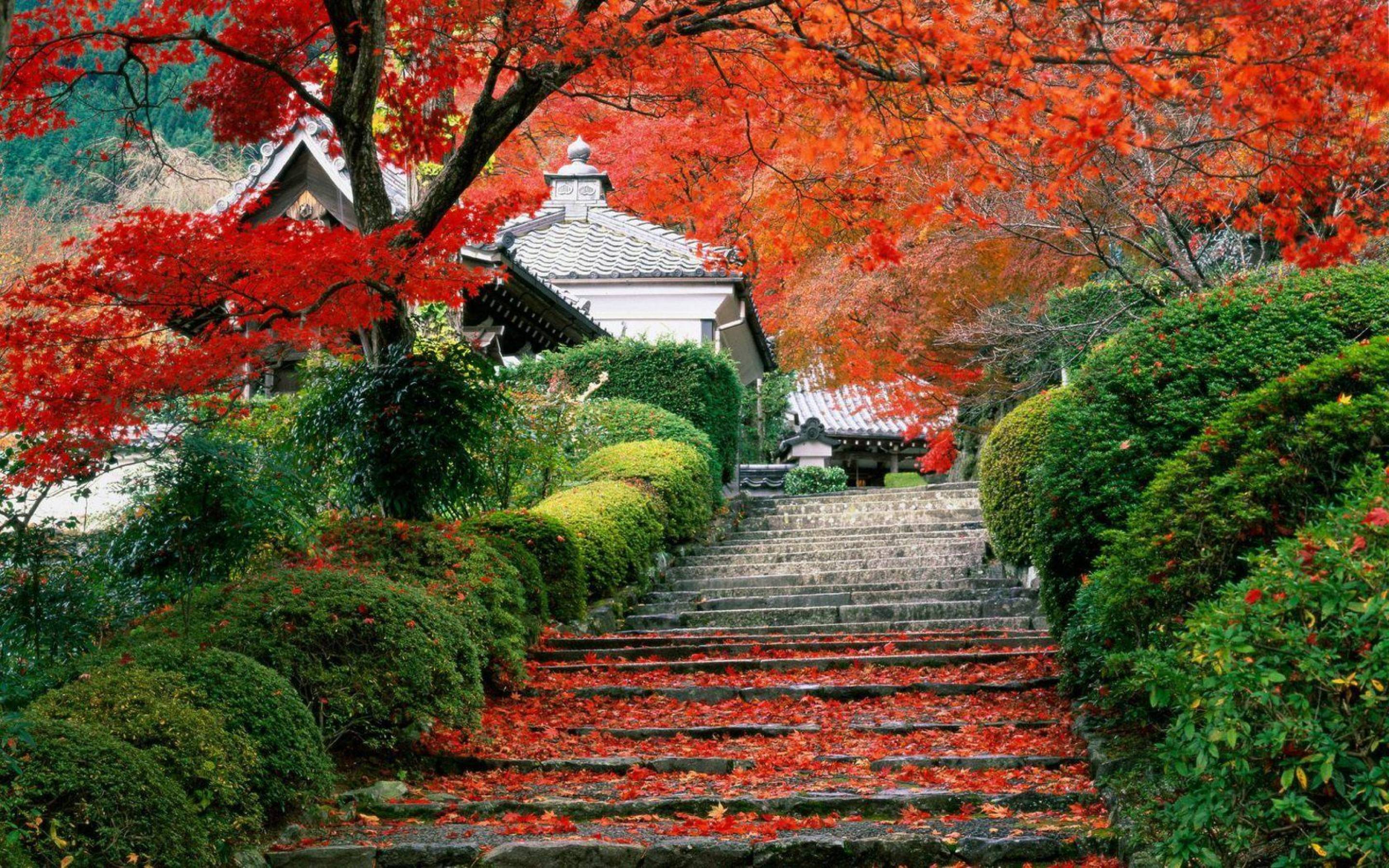Сады в другом значении. Парк Сяншань в Пекине осенью. Сады Киото Япония. Йокогама Япония сад. Сад Коисикава Коракуэн Япония.