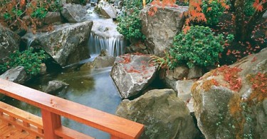 Средиземноморский сад в японском стиле