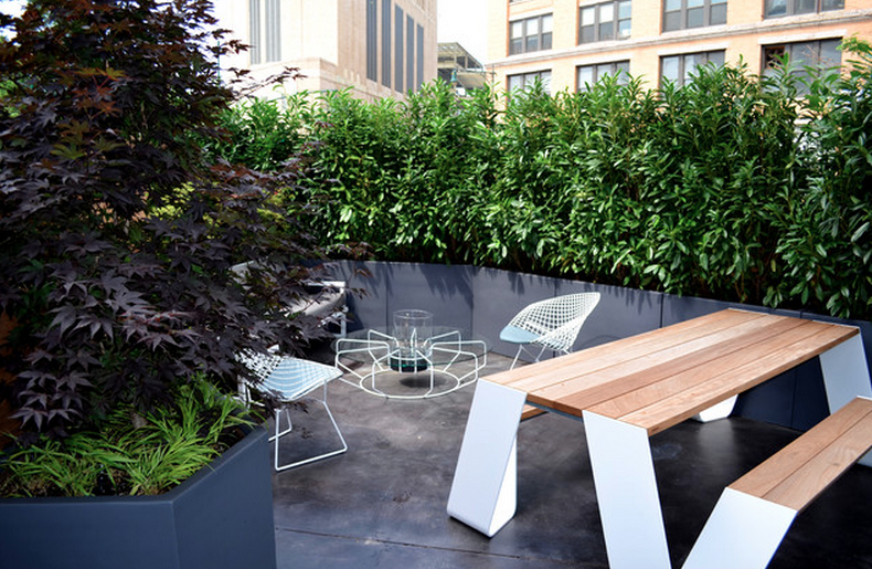 Ландшафтный дизайн для отдыха - скамья, стулья и стена из зелёных насаждений