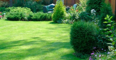 Дизайн газона на садовом участке