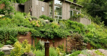 Коттедж Mill Valley Cabins