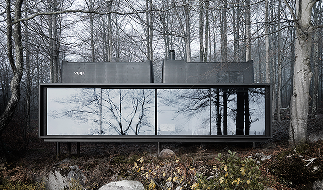 Дизайн интерьера панельного дома в лесу