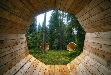 Необычные беседки в лесу Эстонии