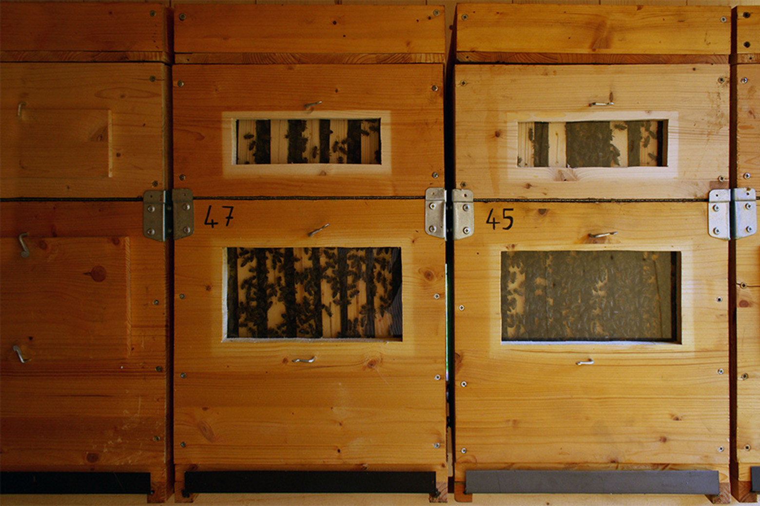 Деревянные модули с пчелами фото
