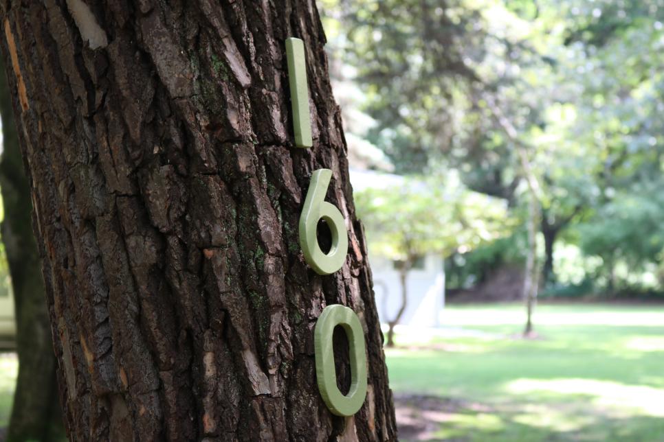 Идеи для оформления номера дома: вариант номера на дереве