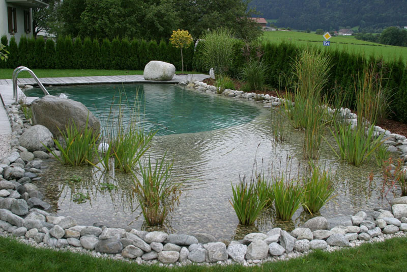 Декоративное оформление бассейнов живыми растениями