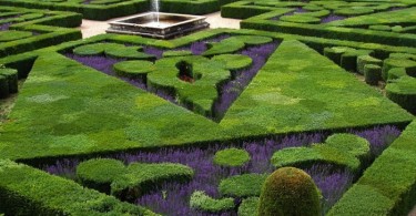 Сад в дворцовом стиле