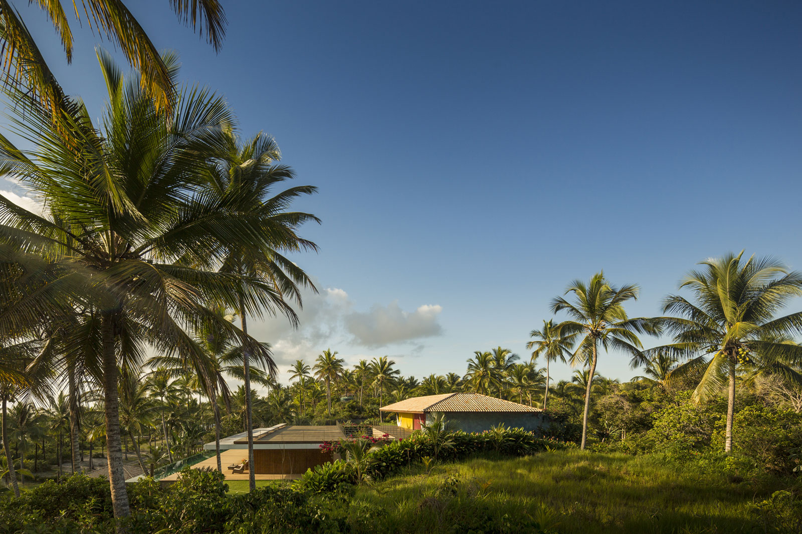 Проект каскадного домика Txai House в пальмовой роще