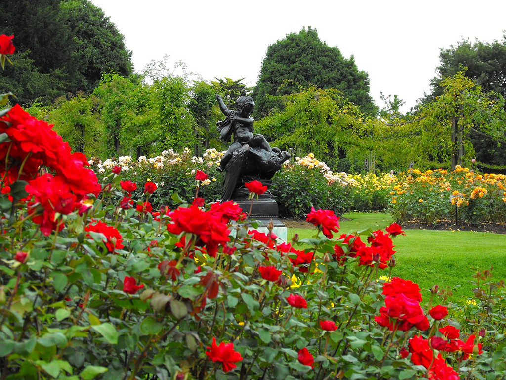 Твой сад розы. Риджентс-парк Королевские парки Лондона. Риджентс парк розарий. Сады королевы Марии Риджентс парк Лондон. Лондон Риджентс-парк розы.