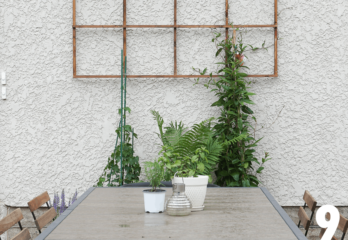 Современный двор частного дома - стол с вьющимися растениями у стены
