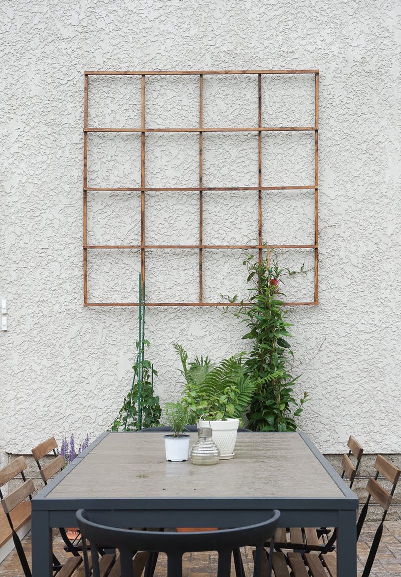 Стол и деревянный каркас с вьющимися растениями у стены