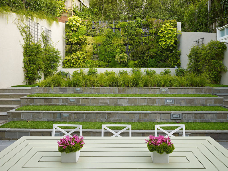 Интересные идеи для сада: стена с зеленью в дизайне сада