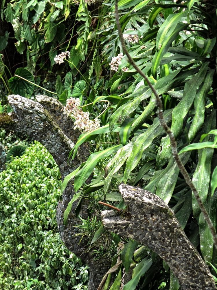 Сюрреалистический парк. Каменные скульптуры змей сливаются с джунглями