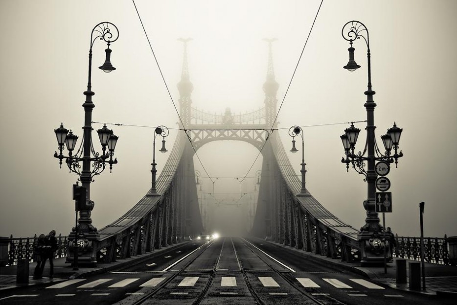 Мост Свободы в Будапешт