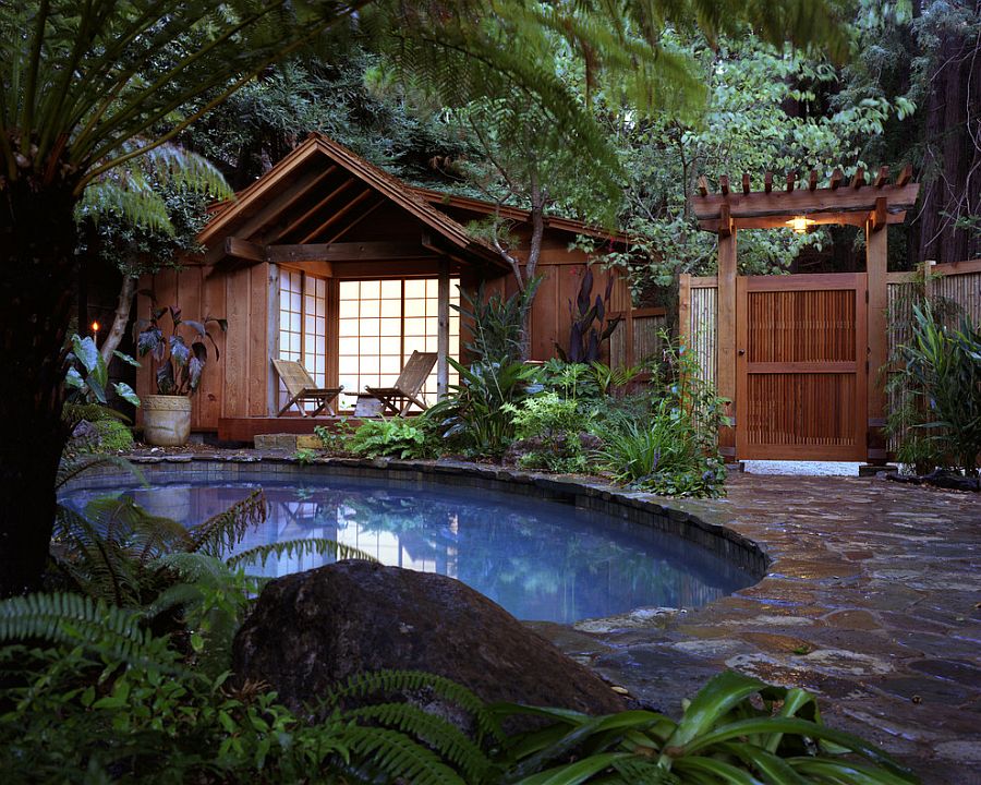 Тропический бассейн на заднем дворе