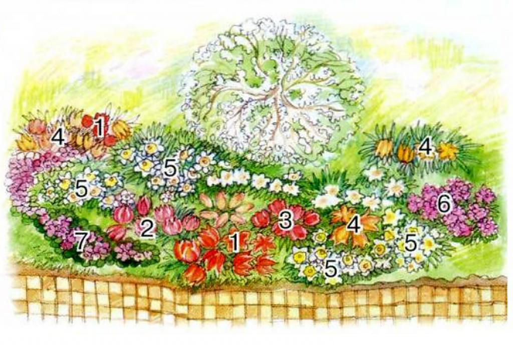 Цветочная композиция из весенних растений: схема тюльпанов
