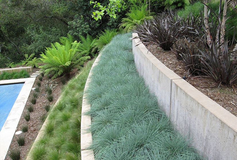 Благоустройство двора частного дома - различные зелёные растения высаженные лестницей