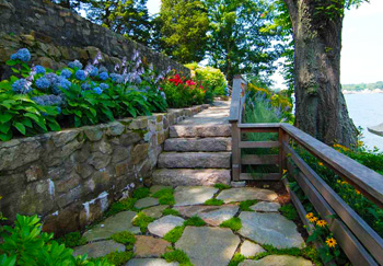 Вариант ландшафтного дизайна загородного дома -  дорога из камней и травы и яркие цветы