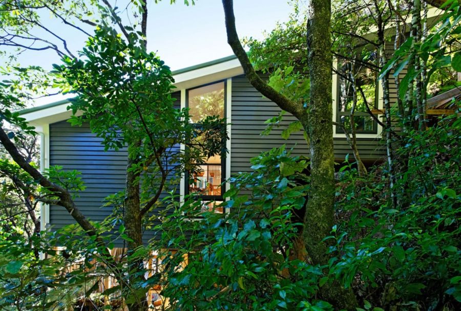 Палаточный дом в лесу Новой Зеландии: незабываемый отдых и комфорт