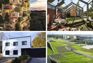 Зеленая архитектура: идеи со всего мира