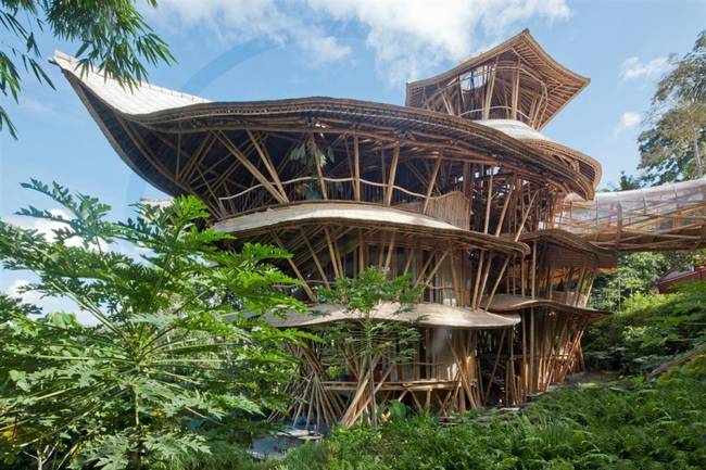 Зелёная архитектура: экодом из бамбука