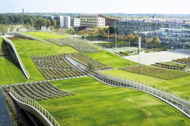 Зелёные крыши в архитектуре учебных заведений во Франции