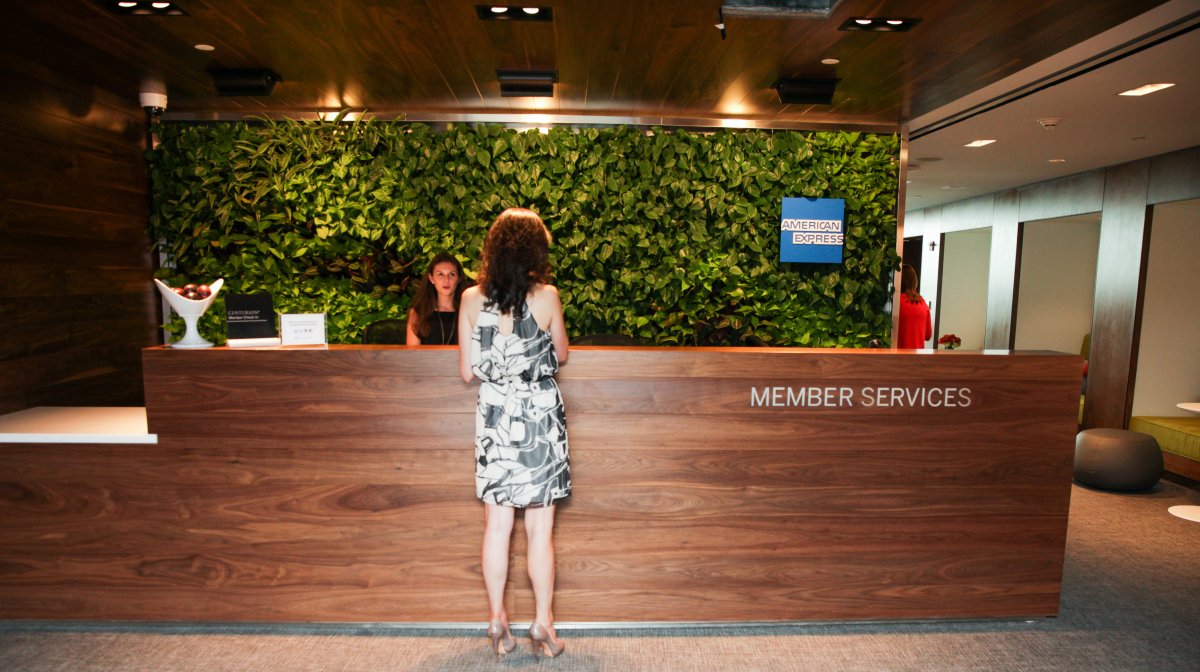 Зона отдыха в аэропортах: стена из растений за стойкой регистрации